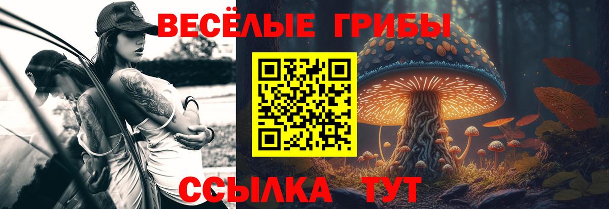 Псилоцибиновые грибы Magic Shrooms Краснодар
