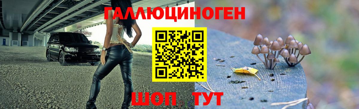 Псилоцибиновые грибы GOLDEN TEACHER  Вход с VPN  Псилоцибиновые грибы Magic Shrooms  Краснодар 